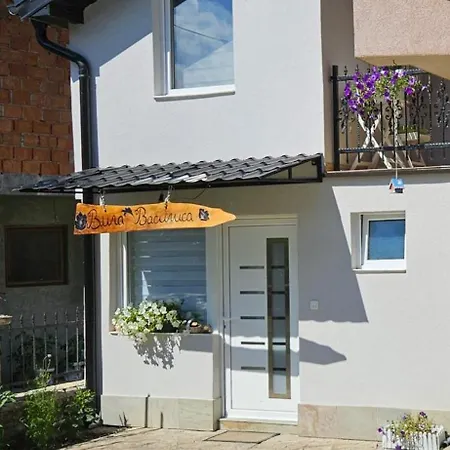 Vasilisa Apartment Prijepolje